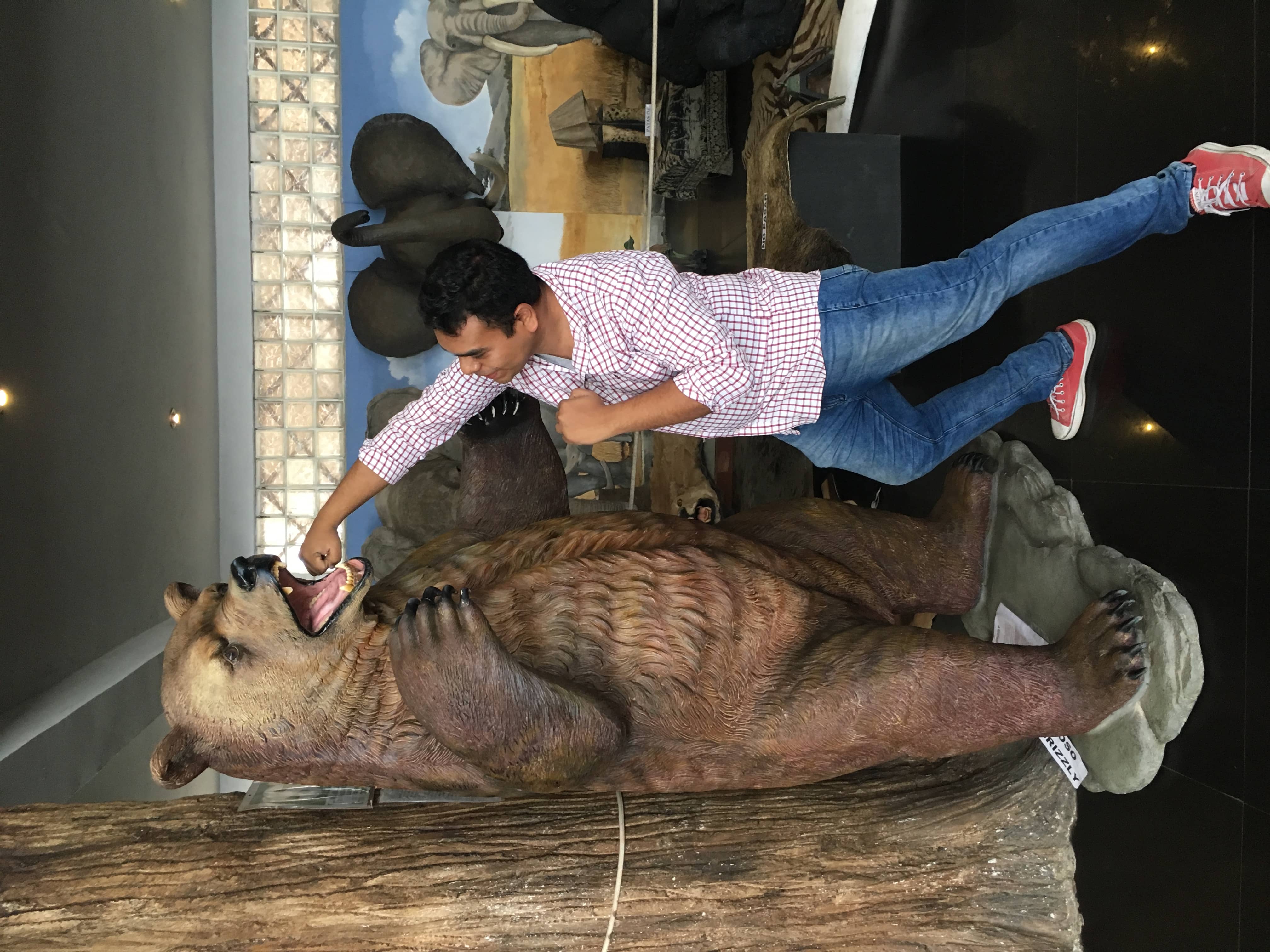 yo contra el oso